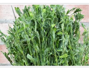 Natuurlijke En Pure Gedroogde Planten Bezuinigingen Chileense Clover Luzern Buffalo Gras Voor Verkoop