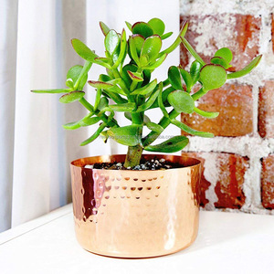 Jardinière succulente martelée en cuivre fabrication en gros de l'Inde jardinière ronde en cuivre pour l'intérieur - Product Image 2