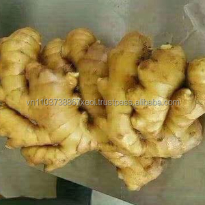Nouvelle récolte de gingembre frais jeune de qualité export du Vietnam 2020 10KG/CTN - Product Image 5