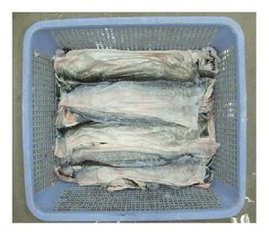 ผิวปลาดุกในปริมาณมากในราคาที่ดีที่สุด - Product Image 3