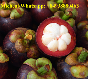 Exportation de fruits frais STANDARD du vietnam - Product Image 2