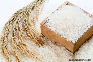 ข้าว Tam เวียดนามที่มีคุณภาพดีที่สุด - Product Image 5