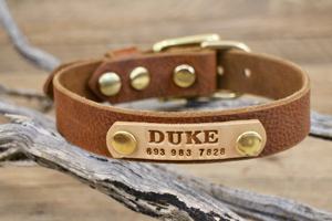 Haute Qualité En Cuir Véritable Collier Pour Animaux de compagnie Réglable Collier de Chien pour Petit Moyen Grand Chien WDS-0017 - Product Image 2