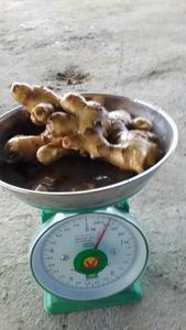 ขมิ้นสดและแห้งสำหรับ2024อาหาร - Product Image 6