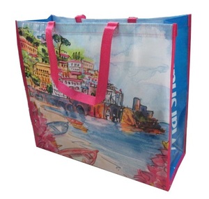 Eco-Friendly 100gsm <b>Piping</b> Non-Woven Shopping <b>Bag</b> with Fun Cartoon Pattern UV Coating Lamination for Daily Use - Product Image 1