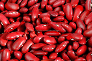 Frijoles Rojos Secos, Proceso AD, a Granel, Alta Calidad, Grado A, 10 kg, para Venta al por Mayor a Precio Económico - Product Image 2