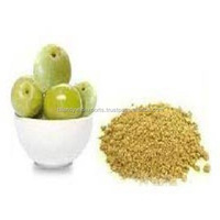 Poudre Amla-poudre Embilica officinalis riche en vitamine C et pour une meilleure Digestion yeux plus sains