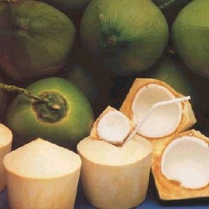 Ferme du vietnam frais vert jeune noix de coco MS vacances - Product Image 6