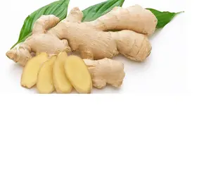 ขิงสด-ผู้จำหน่ายขิงสด - Product Image 1