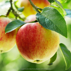 Phân Bón Hòa Tan Trong Nước Tốt Nhất Phân Bón Axit Sinh Học Fulvic Apple Corn Yam Khoai Tây Hành Chuối Lúa Mì - Product Image 2