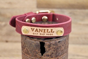 Collier de chien en cuir fait à la main, étiquette personnalisée WDS-0005, avec laiton massif, pour animal de compagnie - Product Image 2