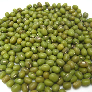 Venta al por Mayor de Frijoles Mung de Primera Calidad y Frijoles Mung Verdes Secos con Cáscara, Origen Sudáfrica, Paquete de 50 kg - Product Image 2