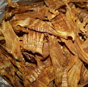 ไม้ไผ่/แห้งไม้ไผ่/คุณภาพสูงมีจากเวียดนาม - Product Image 1