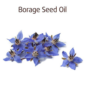 Suministro al por mayor de aceite portador de borraja prensado en frío natural para el cuidado de la belleza y productos hidratantes para la piel - Product Image 3