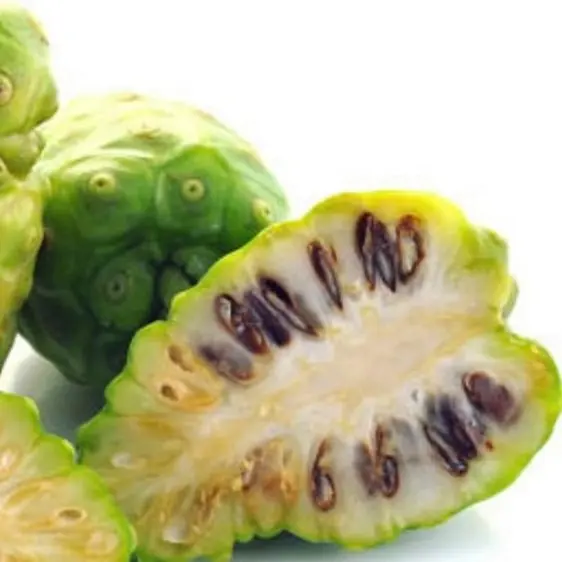 Buah NONI Segar dari VIETNAM/Shyn Tran + 84382089109