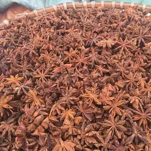 ANISEED /AUTUM STAR ANISE WS: 0084 989 322 607 / Skype: giahan3121