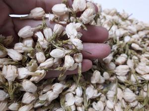 เวียดนามจัสมินบริสุทธิ์ดอกไม้/แห้งดอกมะลิดอกไม้บริสุทธิ์สำหรับชา - Product Image 5