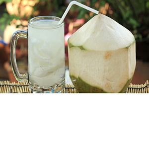 Noix de coco verte fraîche/fruits de cacao frais - Product Image 2