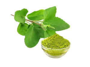 Orgánico USDA orgánico Tulsi en polvo - Product Image 4