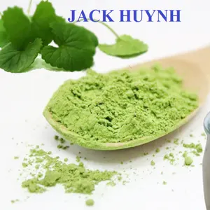 Natural Centella Asiatica Extract Powder /Gotu Kola Extract / Herba Centellae P.e