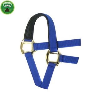 Cabestro de cabeza de caballo de PP y nailon personalizado \ accesorios de Carreras de Caballos - Product Image 3
