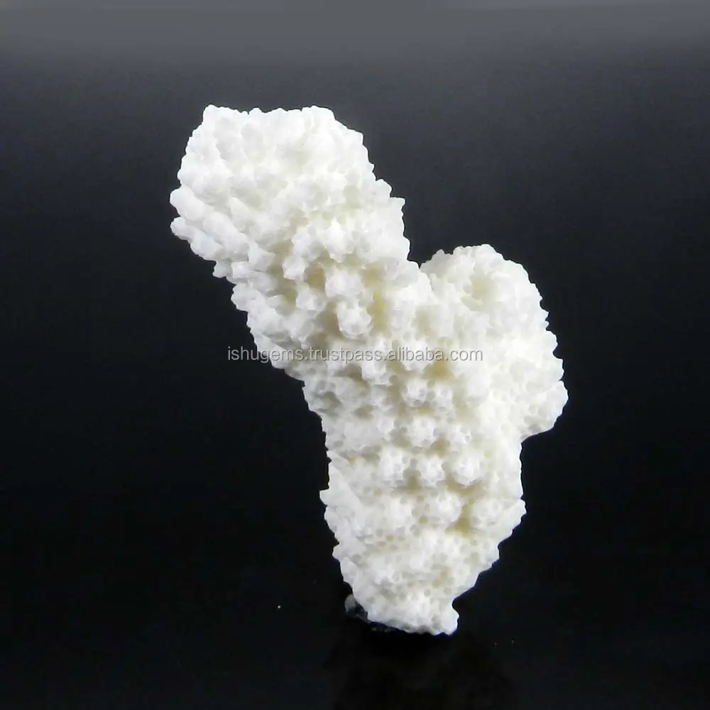 Natural White Coral Cluster 52x30mm Fancy 77.70 Ct Loose Gemstone Jewelry