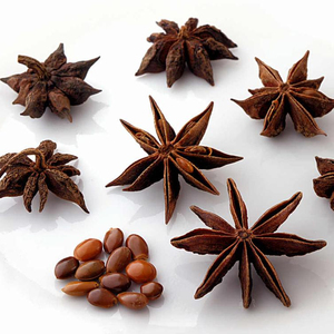 เครื่องเทศยี่หร่าผสมคุณภาพสูงจากเวียดนาม Lang ลูกชายอบแห้งดาว - Product Image 1