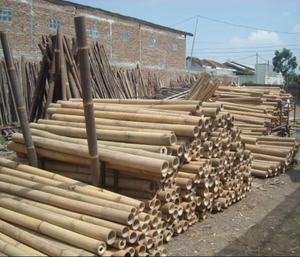 Poteaux de bambou personnalisés en gros enveloppant dans du plastique coloré basé sur le produit de matières premières de commande - Product Image 3