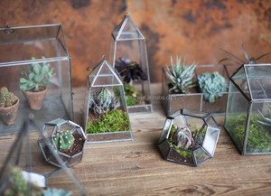 High Quality Indoor <b>Plant</b> Metal <b>Frame</b> Geometric Glass Terrarium - Product Image 5