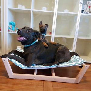 Hamaca para cama de perro, cojín de tela lavable, madera Natural, patrones personalizados, elegante, rosa, amarillo y azul - Product Image 6