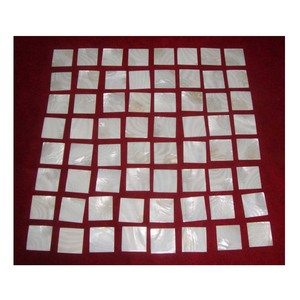 Mosaicos de Piedra Natural Madreperla para el Hogar - Product Image 1