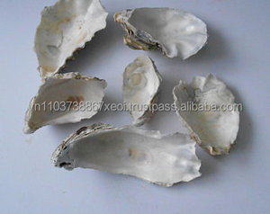 Matériau pour carpette/étrier de étrier, carrosserie, 1 pièce - Product Image 3