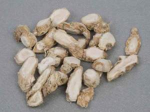 GALANGAL/ KAEMPFERIA GALANGAL, el mejor precio para 2019, Ms: vacaciones, whatsapp: + 84-845-639-639 - Product Image 2