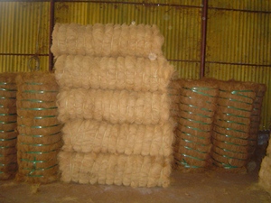 เส้นใยมะพร้าว,ใยเปลือกมะพร้าว,ใยมะพร้าวมะพร้าว - Product Image 5