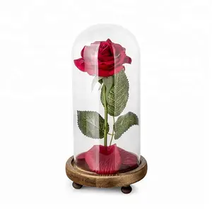 Best Quality Wholesaler trusted Supplier of Glass Dome Bell Jar Supplier Order Online supplier