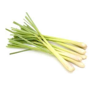 Fabricants et exportateurs en gros d'huiles essentielles de qualité cosmétique pure (Citronnelle, Tea Tree) - Distillées à la vapeur, certifiées GMP, pour les soins capillaires - Product Image 2