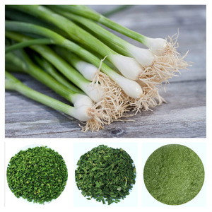 <b>DRIED</b> SCALLION - FRESH SCALLION - <b>Dried</b> Green Scallion - Product Image 2