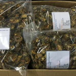 Fruta seca calamansi superventas de alta calidad y precio barato Sra. Holiday - Product Image 1