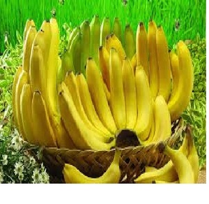 Plátano fresco-precio más bajo-la buena calidad 2024 - Product Image 5