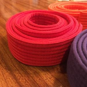 Ceinture de Taekwondo professionnelle, ceintre de karaté, 4 couleurs, idéal pour les Arts martiaux, nouveau modèle de - Product Image 2