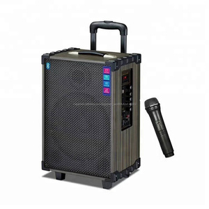 El más nuevo y muy popular 12 pulgadas micrófono inalámbrico portátil <span class=keywords><strong>caraoke</strong></span> altavoz con bluetooth para el rendimiento - Product Image 1
