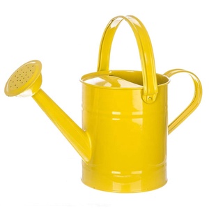 Factory Low MOQ <b>Small</b> Steel Galvanized Metal <b>Indoor</b> <b>Plant</b> Watering Can Watering <b>Pot</b> Wholesale Supplier - Product Image 1
