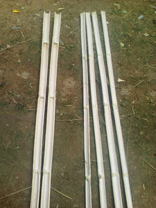 ไม้ไผ่คุณภาพสูงสำหรับผู้ขายส่งเวียดนาม - Product Image 5