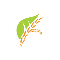 FRINGE PAPO INTERNATIONAL logo