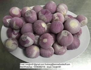 Cebollas de bebé congeladas IQF, cubos de anillos enteros de chalote a granel, embalaje OEM, buen precio del fabricante de Vietnam - Product Image 3