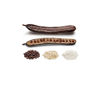 Fructus Gleditschiae Seco/ Gleditschiae Orgánico Natural - Mejor Precio en Vietnam - Product Image 1