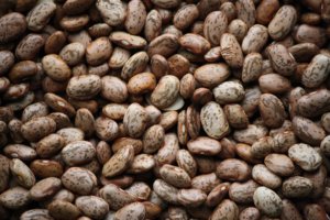 Frijoles Blancos Pintados con Puntos Claros, Secos, a Granel, 25 kg - Product Image 2