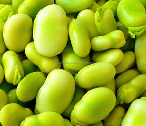 Wholesale Dried Fava <b>Beans</b> with Shell Healthy Nut Snack Fried Salty Vacuum Packed Broad <b>Beans</b> Snacks - Product Image 5