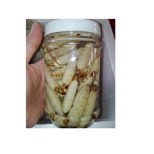 Reine des termites de la meilleure qualité dans du vin de riz - Product Image 1