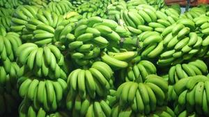 Plátano Cavendish Fresco al Precio Más Bajo - Product Image 5